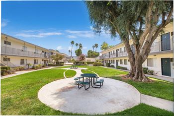 A park with a picnic table and a tree in a courtyard